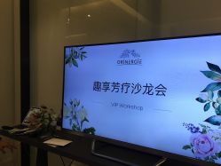 -奥斯芬欧系贵族SPA