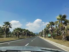 -万兴启丰椰子文化园餐厅