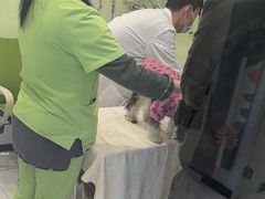 -艾吉宠物医院·疑难杂症转诊中心·猫友好(碧江路院)