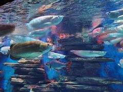 -多彩贵州城极地海洋世界