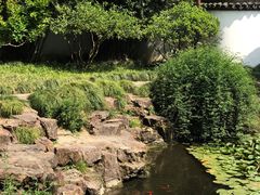 -上海醉白池公园