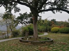 -福建鲤鱼洲酒店