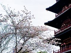 -寒山寺