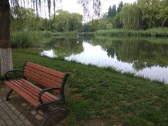 -大兴滨河森林公园