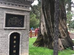 -黄帝陵