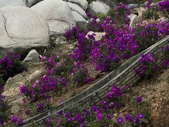 -火炉山森林公园