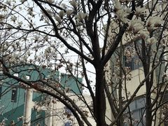 -南京医科大学(江宁校区)