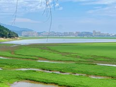 -鄱阳湖国家湿地公园
