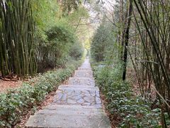 -潜山国家森林公园
