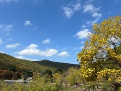 -穹窿山景区
