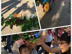 -红黄蓝成长中心(公益西桥校区)