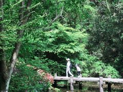 -杭州半山国家森林公园