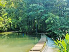 -桤木河湿地公园