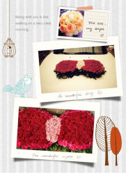 -IDOI婚礼策划·IDOIWEDDING