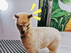 -武汉5D星空错觉艺术馆(中心百货店)