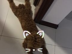 -赵家牛肉砂锅(台西三路店)