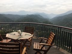 早餐厅-南昆山十字水生态度假村