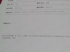 -Liteclear日本进口强效除甲醛检测治理(旗舰店)