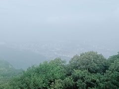 -紫金山山顶公园