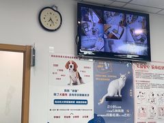 -中农大我爱我爱动物医院·核磁CT·猫病·24小时夜诊中心(石佛营店)