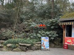 -杭州少年儿童公园