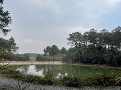 -铁山坪森林公园