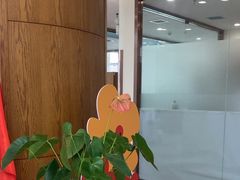 -优诺口腔·VIP尊享中心(爱建机构)