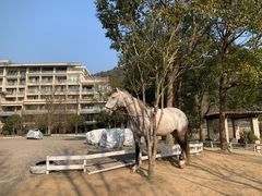 -宁波九龙湖开元度假村