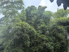 -王阳明故居