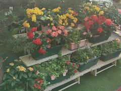 -山水茶艺馆·点心粤菜·30年老字号