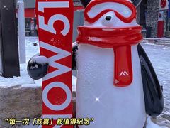 -中旅松花湖滑雪场