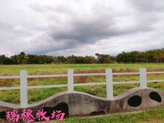 -瑞穗牧场