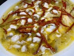 -青花椒花椒鱼(合生汇店)