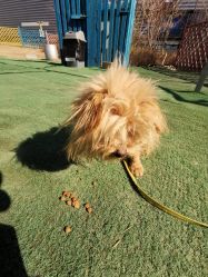 -萌宠亲子动物乐园(槐房万达店)