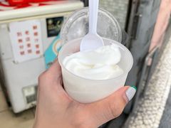 -洪馨椰子