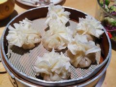 蒙古羊肉烧卖-蒙料·手把肉(望京店)