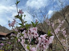 -北京水岸山吧度假村(雁栖镇店)