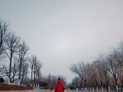 -永定河休闲森林公园