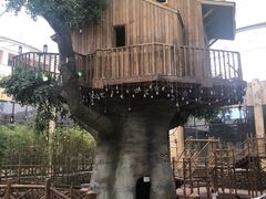 -杭州开元森泊度假乐园