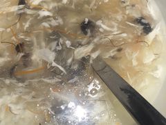 -阿英煲(凉城路店)