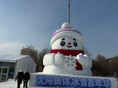 -沈阳奥体冰雪嘉年华