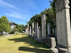 -徐州龟山景区