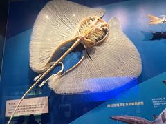 -抱抱地球咖啡馆(国家海洋博物馆店)