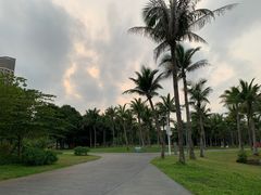 -万绿园