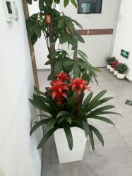 -和颜一美轻医美连锁