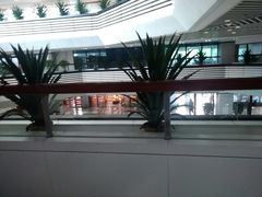 -佛山市图书馆(祖庙路分馆)