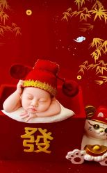 -挚纯baby儿童摄影(庐阳区店)