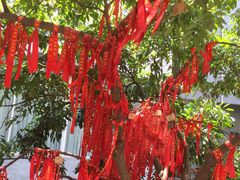-小洲村