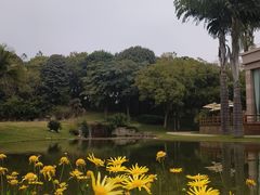 -湖泉半山温泉