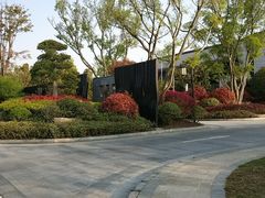 -上海崇明金茂凯悦酒店